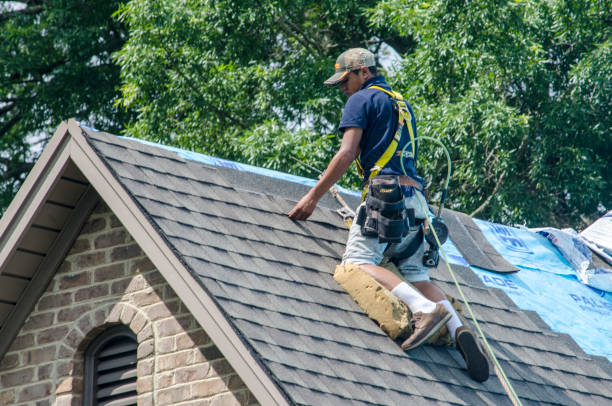 Roof Gutter Cleaning in Grayson Valley, AL